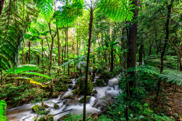 The natural background of the road surrounded by nature, big trees, waterfalls from high mountains and clear sky throughout the adventure journey.
