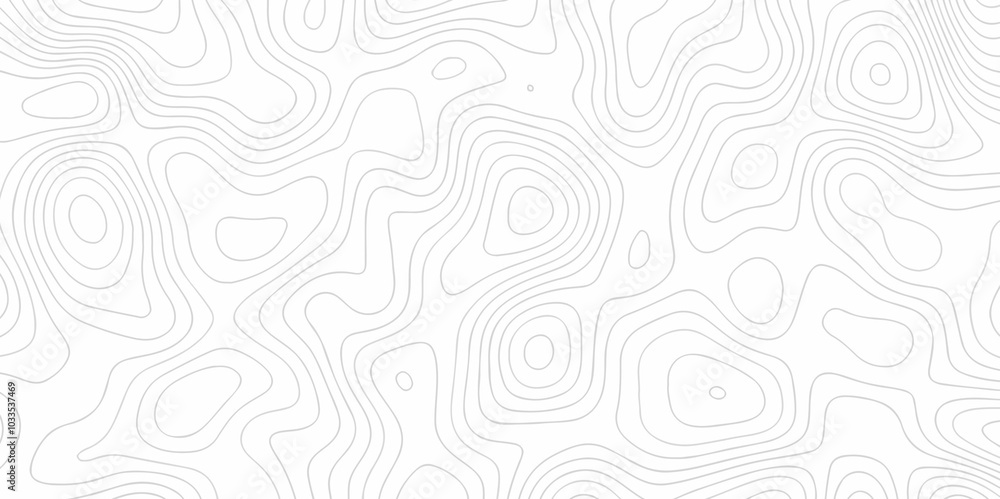 Poster vector abstract wave curve topo grid map with geographic mountain relief. abstract lines background.