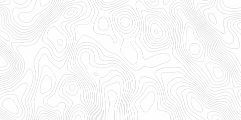 Vector abstract wave curve topo grid map with Geographic mountain relief. Abstract lines background. Contour maps. Topo contour map design. Lines Topographic contour lines map seamless pattern.