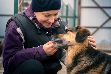 Dog at the shelter. Animal shelter volunteer feeding the dogs.