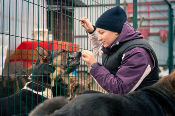 Dog at the shelter. Animal shelter volunteer feeding the dogs.