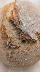 Freshly baked bread