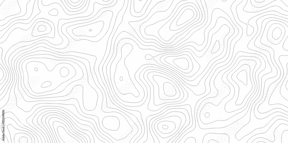 Poster vector abstract wave curve topo grid map with geographic mountain relief. abstract lines background.