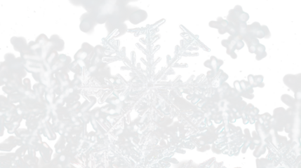 white snowflakes background isolated on white or transparent png