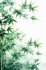 Fototapeta premium A serene background featuring a lush bamboo forest, with vibrant green bamboo stalks and delicate leaves creating a tranquil atmosphere. The image captures the essence of nature's beauty and simplicit