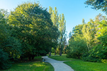A winding path through a lush green park on a sunny day