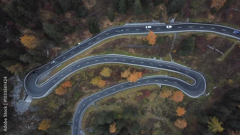 Poster aerial view of a winding mountain road with several sharp curves, surrounded by autumn-colored trees