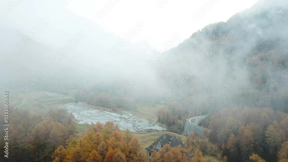 Poster aerial view of a foggy landscape with autumn-colored trees and a winding road disappearing into the 