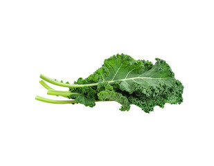 Fresh Green Kale Leaves Isolated on Transparent Background
