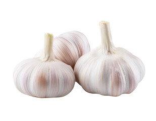 Whole Garlic Bulbs Isolated on Transparent Background