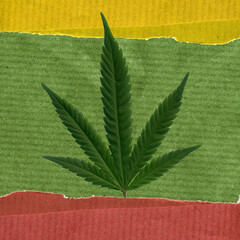 A green hemp leaf in front of wrapping paper.