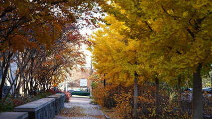 The beautiful campus autumn view in the University of Pennsylvania in Philadelphia