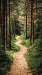 Fototapeta premium Scenic Hiking Trail Through Lush Green Forest