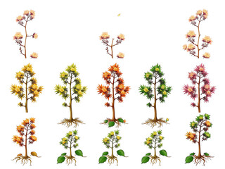 A diverse collection of plants showcasing various types and their intricate root systems.