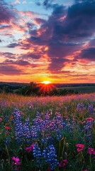Serene Wildflower Field at Sunset