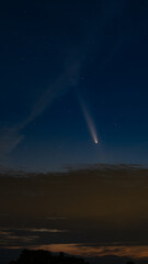 紫金山・アトラス彗星