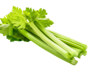 Fototapeta premium Isolated Fresh Celery Stalks on Transparent Background