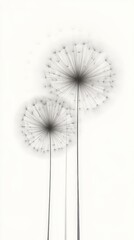 Obraz premium Two tall, delicate dandelions with fine stems and soft seed heads, depicted in a minimalist, black-and-white style that highlights their airy, fragile nature.