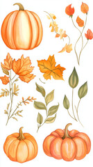 Naklejka premium Set of Pumpkins, Leaves, and Flowers on Isolated Background with Water, Autumn Harvest Concept