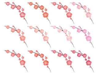 水彩　和風　梅の花