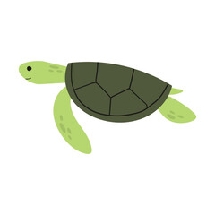 Turtle illustration