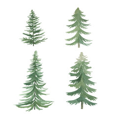 Watercolor fir-trees collection. Winter nature print. Hand drawn isolated illustration on white background