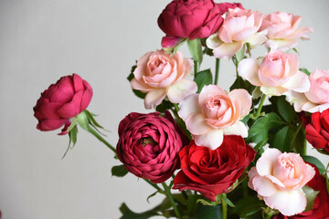 Obraz premium ピンクと赤のばら