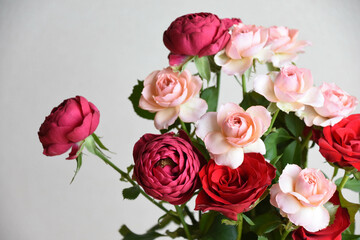 赤とピンクのばら