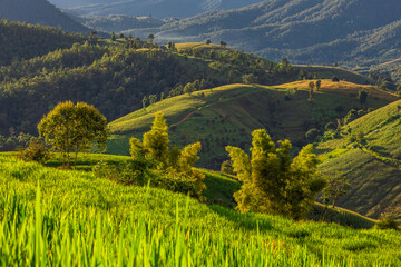 Wallpaper from the top of the mountain, overlooking the panorama, with the wind blowing all the time, fresh air, is a viewpoint that adventurers regularly visit.