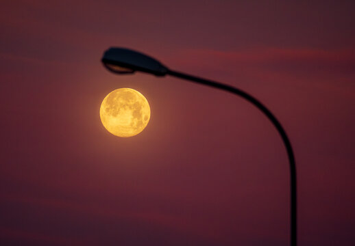 Winter Moonset aligned with streetlight in Geneva, Switzerland