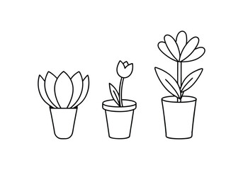 Set of Continuous One Line Drawings of Flowers in Pots – Minimalist Vector Art