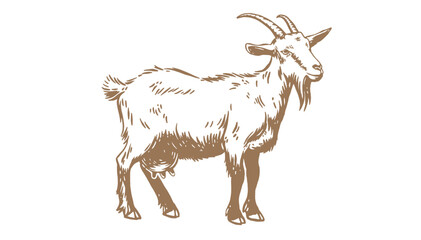 Goat. Vintage retro print, black white goat drawing, sketch ink pencil draw, engrave old school style. Sketch artwork silhouette goat with horns. Side view profile goat. Vector Illustration
