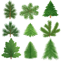 Fototapeta premium Watercolor illustration of different green Christmas trees, isolated on white, perfect for holiday design. 