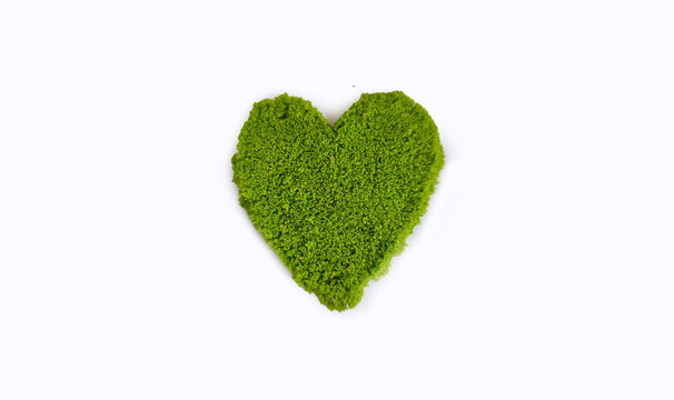 Wolffia globosa or swamp algae, water meal, white background, Fresh water Alga, Green Caviar 