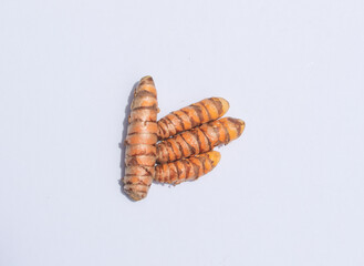 Turmeric On White Background