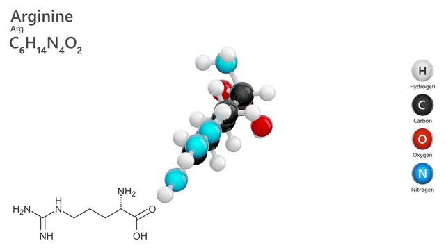 Arginine or L-arginine. Semi-essential amino acid. Animated 3d model of molecule. Molecular formula: C6H14N4O2. Chemical model: Ball and Stick. White background. 3D rendering. Seamless loop