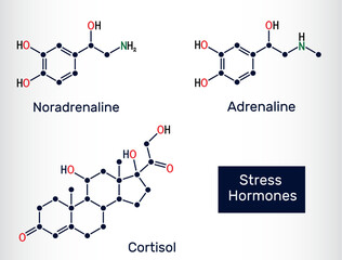 Major stress hormones molecules. Adrenaline (Epinephrine), Noradrenaline (Norepinephrine), Cortisol chemical structures. Vector illustration © bacsica