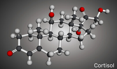 Cortisol, hydrocortisone steroid molecule. Stress hormone involved in metabolism and immune response. Molecular model. 3D rendering. Illustration