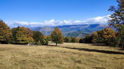 autumn in the mountains