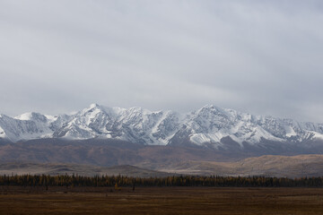 snowcapped mountain ridge with a autumn forest in front