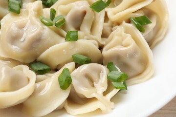 Delicious pelmeni with green onion on plate, closeup