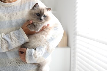 Woman with cute kitten near window at home, closeup. Space for text