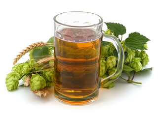 Glass of beer and hops with wheat.