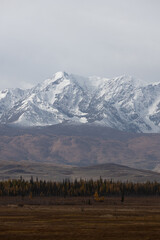 snowcapped mountain ridge with a autumn forest in front