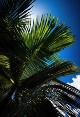 Fototapeta premium stunning typorama lush palm leaves silhouetted vivid blue sky capturing vibrant colors, tropical, foliage, bright, botanical, texture, nature, sunlight