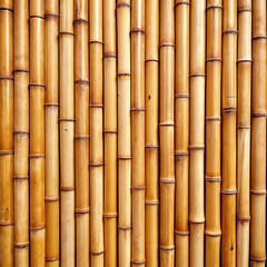 Fototapeta premium Textured bamboo wall with vertical stems showcasing natural patterns