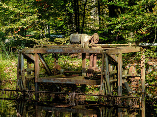 Nature reserve Waterloopbos, Flevoland province, The Netherlands