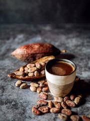 Natural craft cocoa drink, organic healthy chocolate drink with brown cocoa beans and dry cacao pod