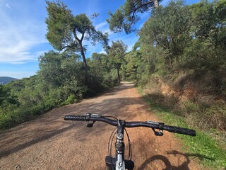 A mountain bike on a dirt trail surrounded by trees and greenery on an island near Istanbul. The trail stretches ahead under a partly cloudy sky with hills visible in the distance.