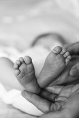 Tiny feet of a newborn baby in mothers arms.Black and white photo. motherhood concept image.Close...